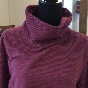 Brand new Cozy Plum Cowl Neck Shirt
